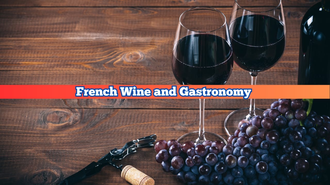 french wine and gastronomy 